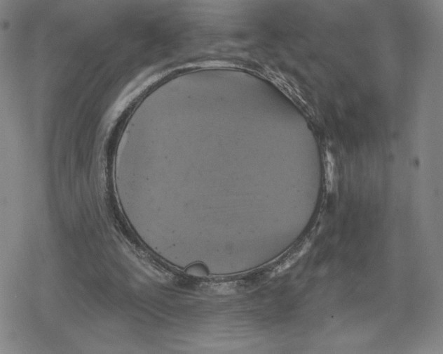 X0000079290295200612151709