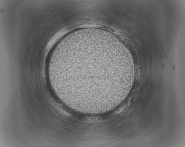 X0000079290296200612151709