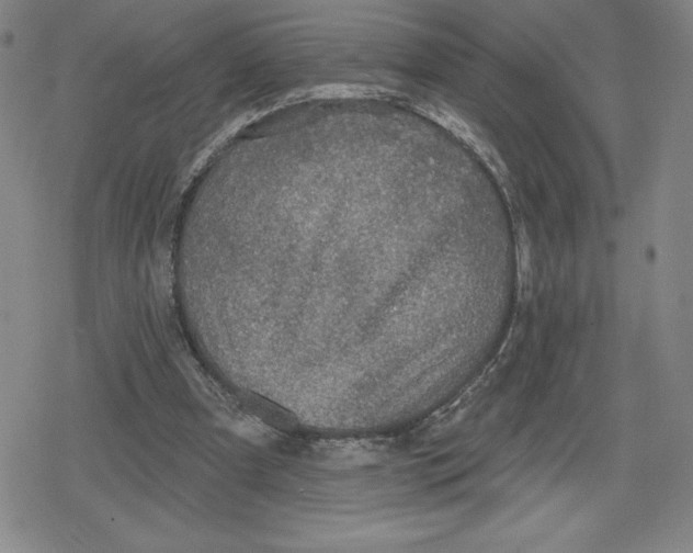 X0000079290297200612151709