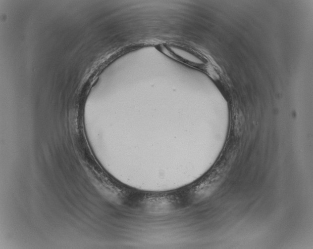 X0000079290299200612151709