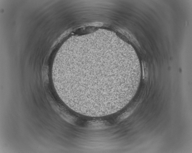 X0000079290300200612151709