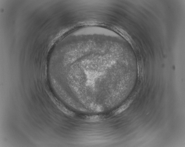 X0000079290301200612151709