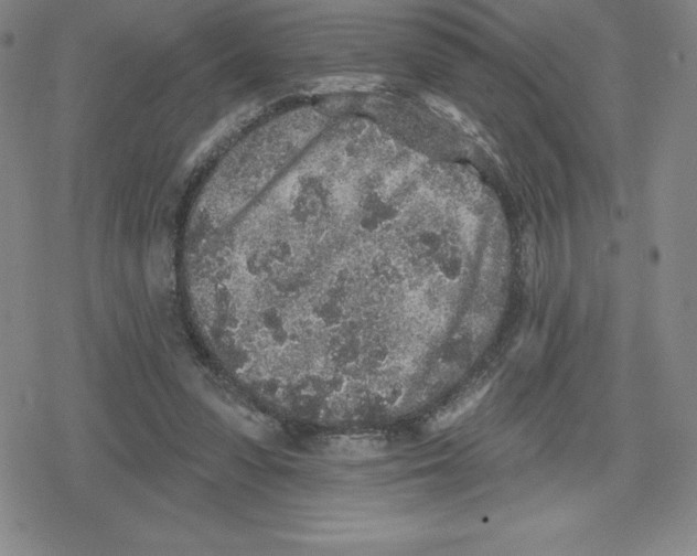 X0000079290303200612151709