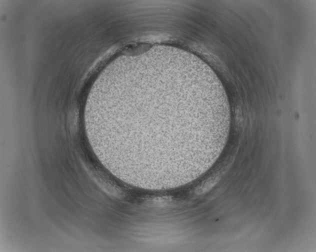 X0000079290304200612151709