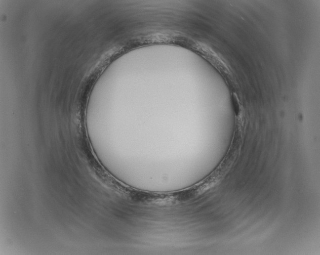 X0000079290306200612151709