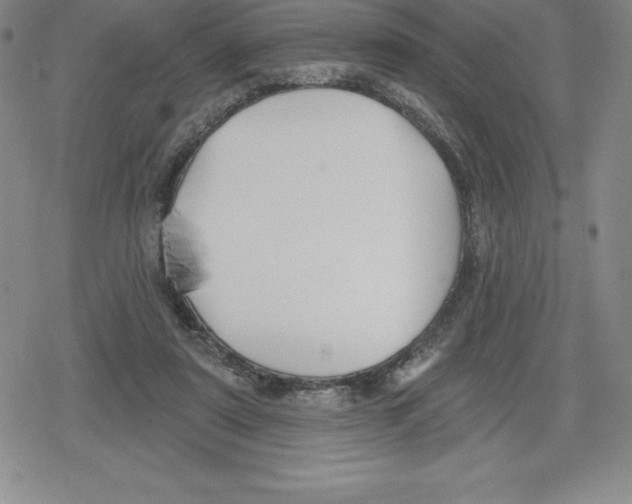 X0000079290307200612151709