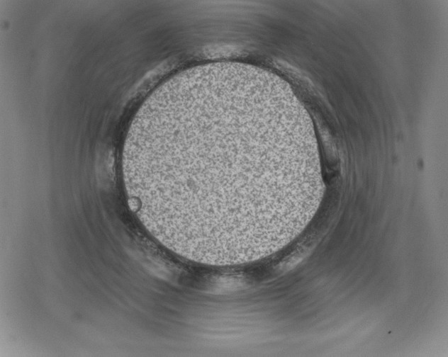 X0000079290308200612151709