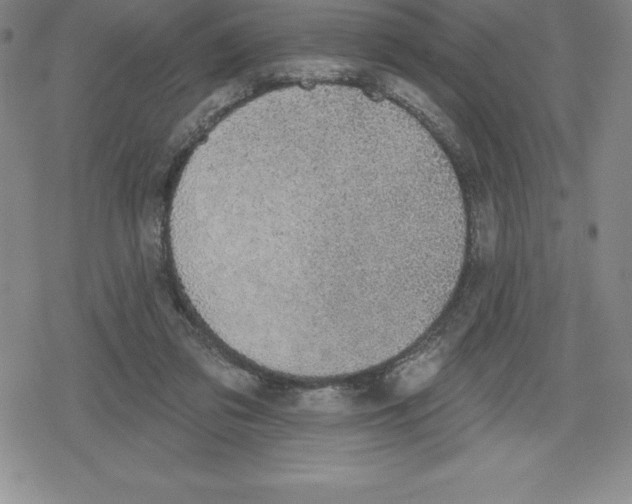 X0000079290309200612151709