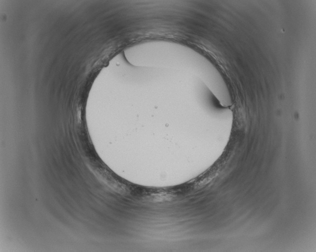 X0000079290310200612151708