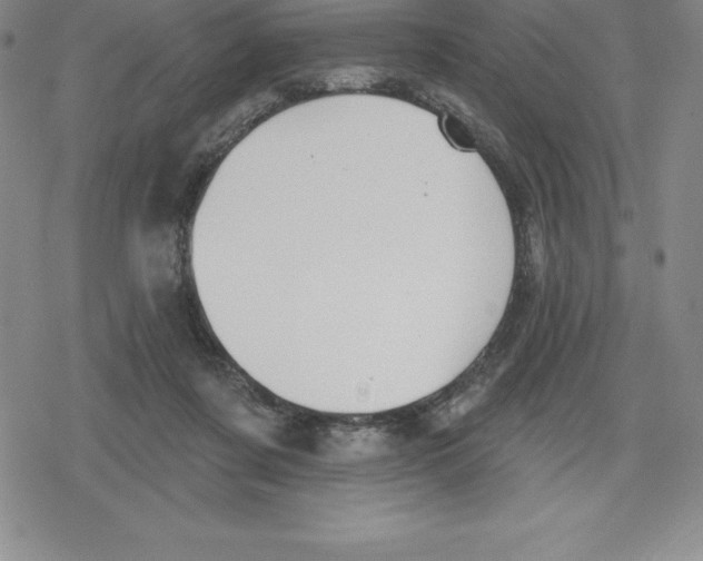 X0000079290311200612151708