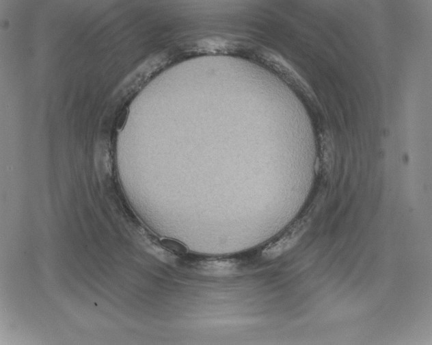 X0000079290313200612151708