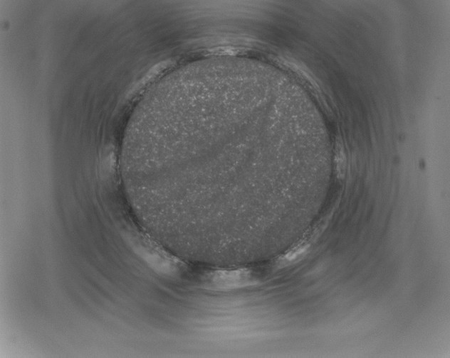 X0000079290314200612151708