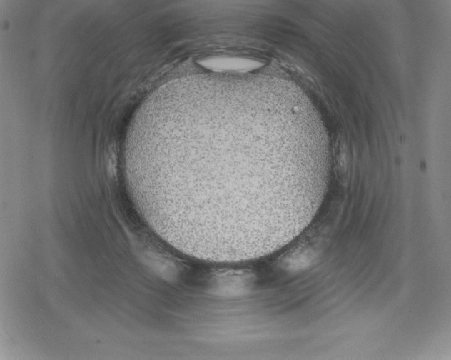 X0000079290315200612151708