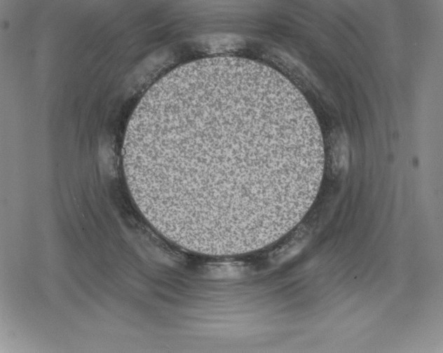 X0000079290316200612151708