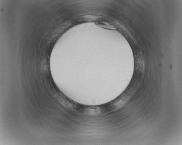 X0000079290317200612151708