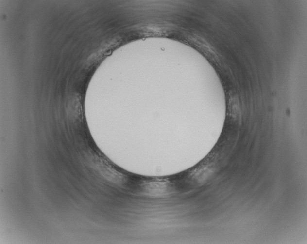 X0000079290318200612151708