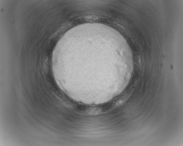 X0000079290319200612151708