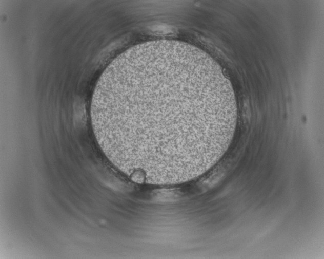 X0000079290320200612151708