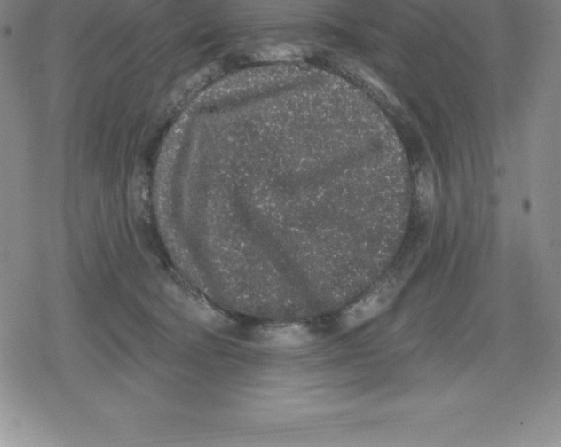 X0000079290322200612151708