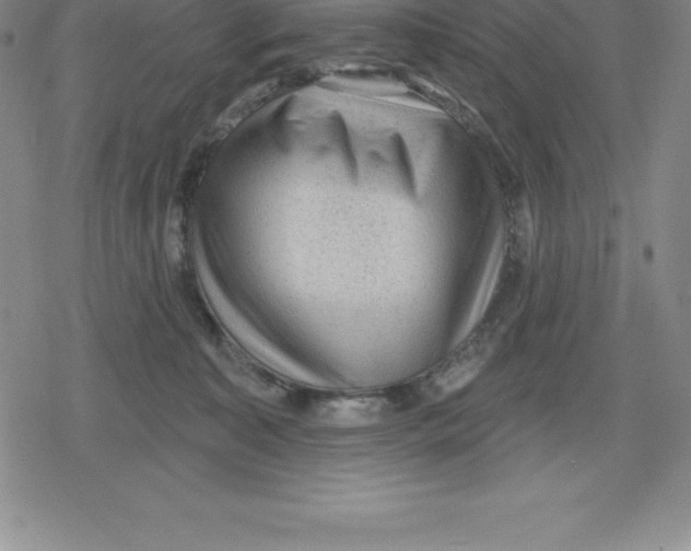 X0000079290323200612151708