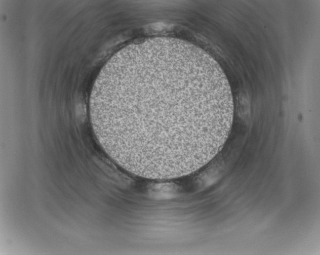 X0000079290324200612151708