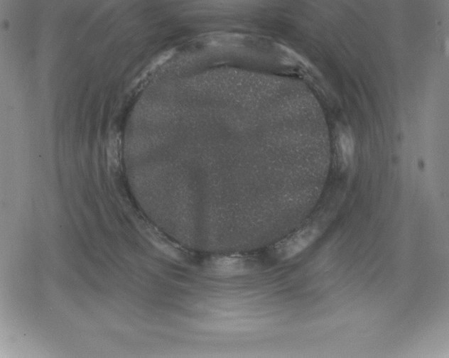 X0000079290325200612151708