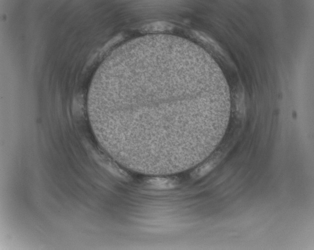 X0000079290326200612151708