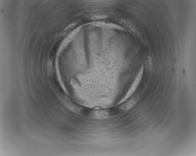 X0000079290327200612151708