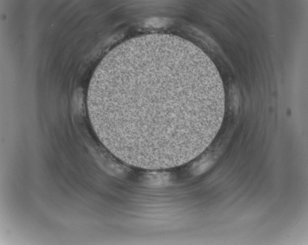 X0000079290328200612151708