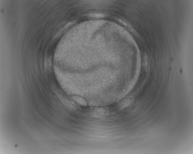 X0000079290330200612151708