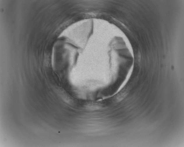 X0000079290331200612151708