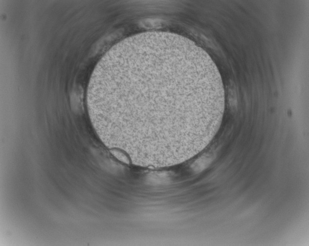 X0000079290332200612151708