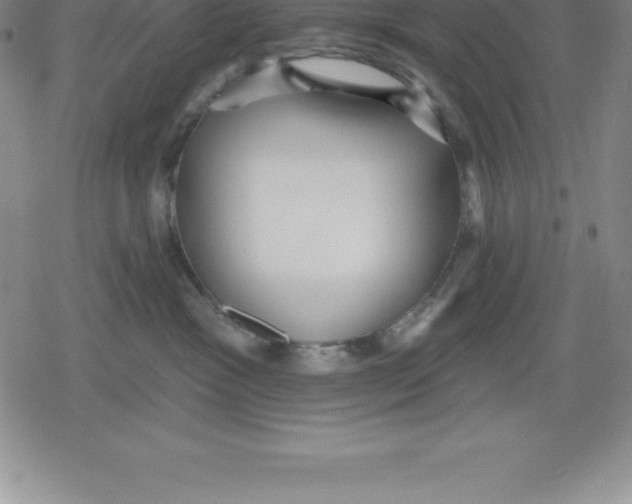 X0000079290333200612151708