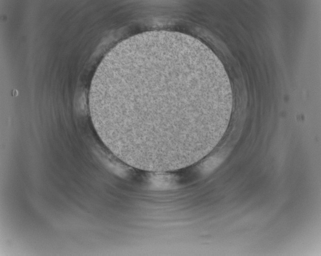 X0000079290336200612151708