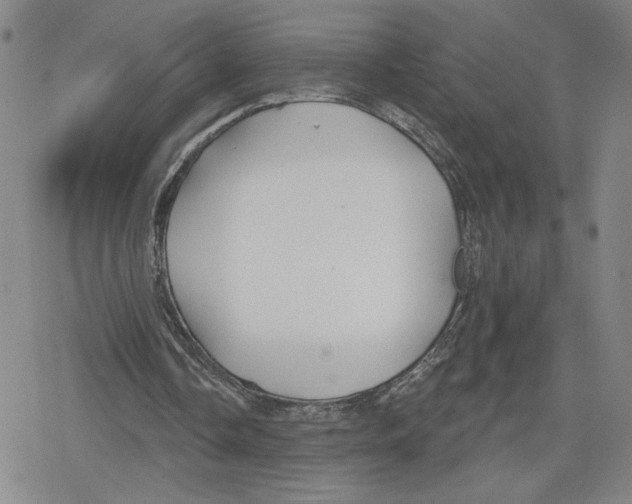 X0000079290338200612151707