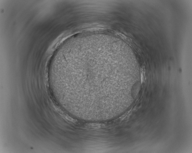 X0000079290339200612151707