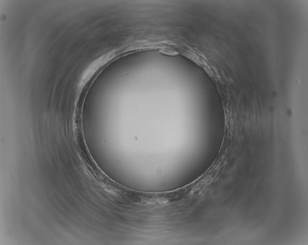 X0000079290340200612151707