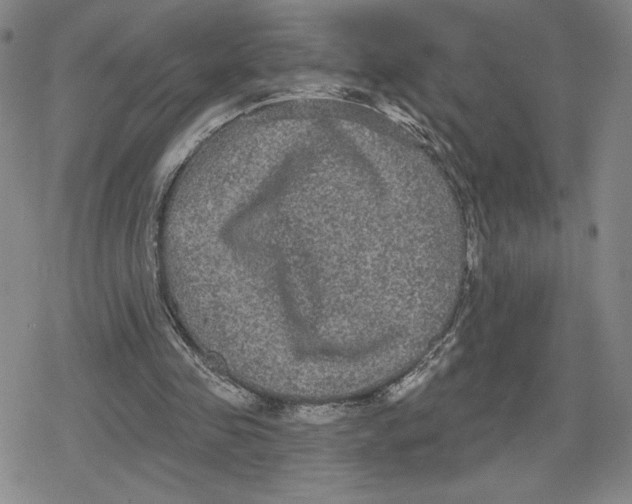 X0000079290341200612151707