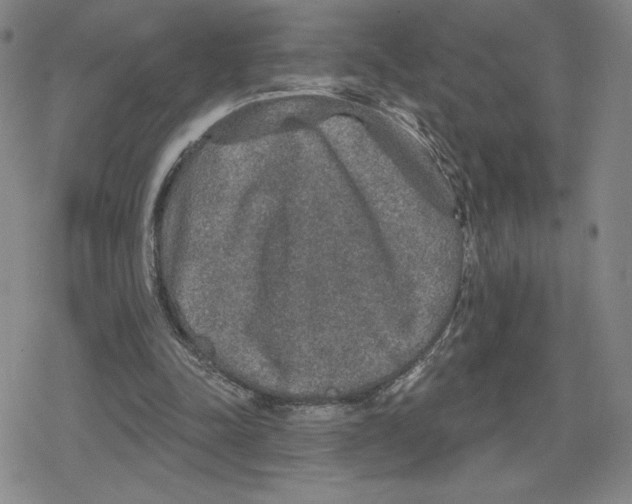 X0000079290342200612151707