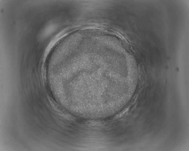 X0000079290343200612151707