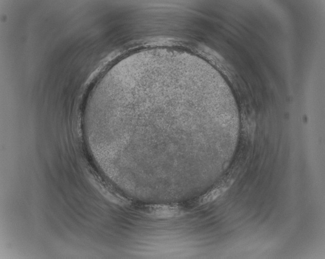 X0000079290347200612151707