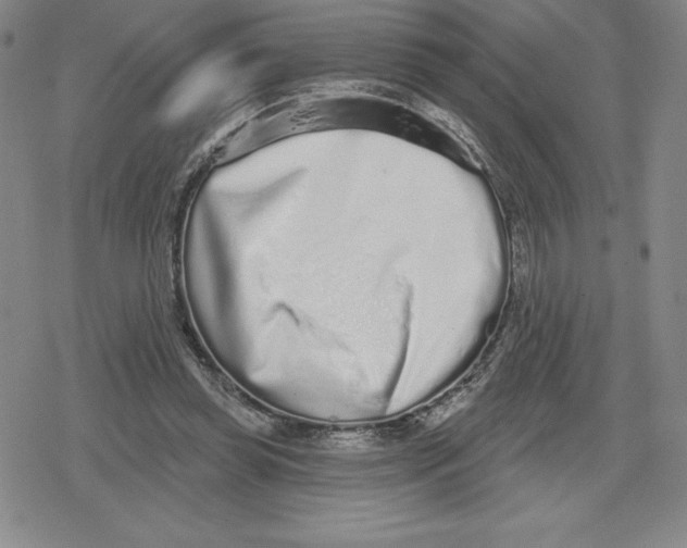 X0000079290349200612151707