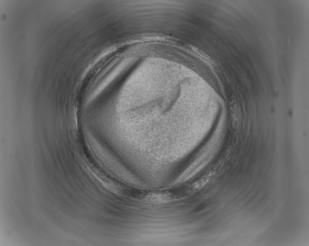 X0000079290350200612151708