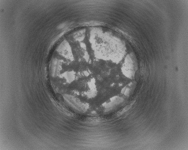 X0000079290351200612151708