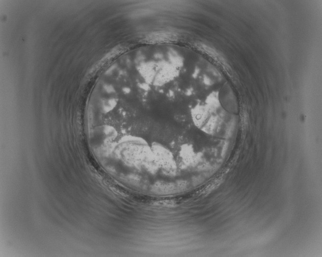 X0000079290353200612151708