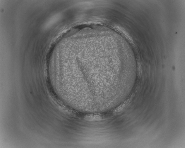 X0000079290354200612151708