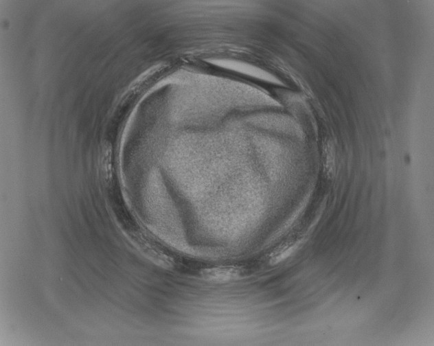 X0000079290356200612151708