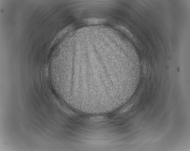 X0000079290357200612151708