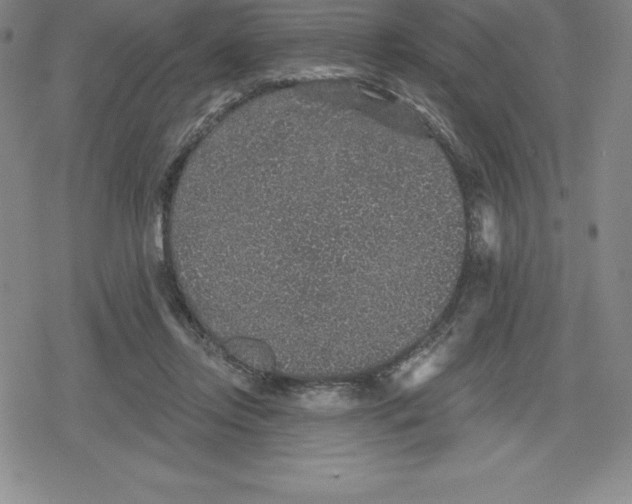 X0000079290358200612151708