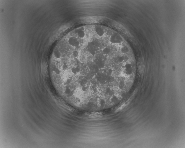 X0000079290359200612151708